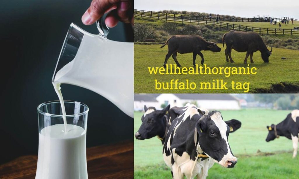 wellhealthorganic buffalo milk tag