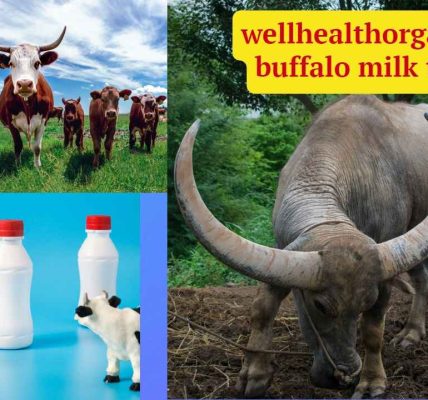 wellhealthorganic buffalo milk tag