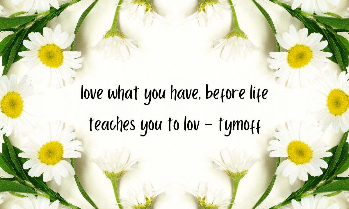 Love what you have, before life teaches you to lov - tymoff - READ SHOT