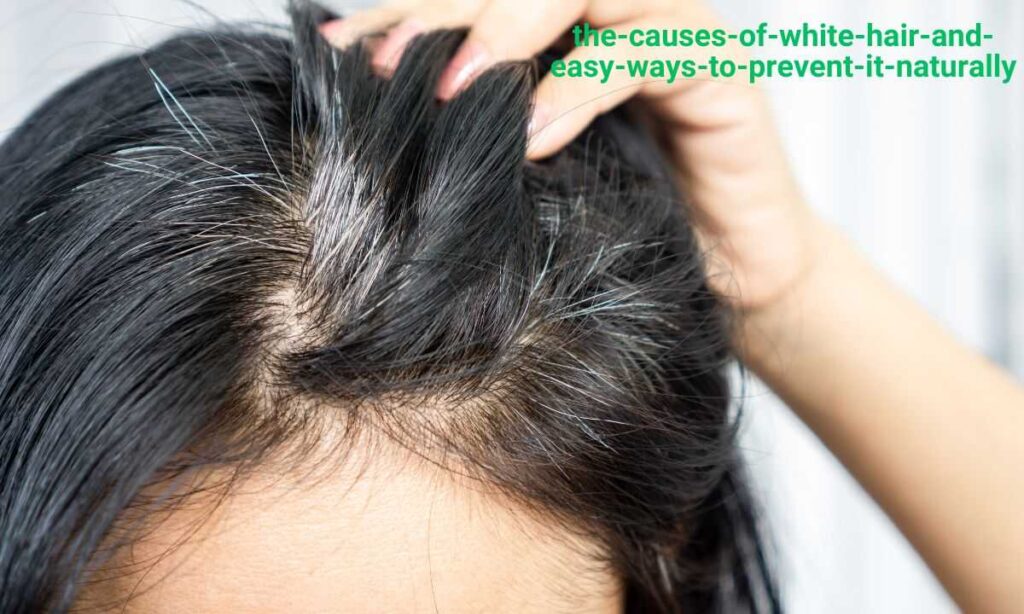 wellhealthorganic.com/know-the-causes-of-white-hair-and-easy-ways-to-prevent-it-naturally