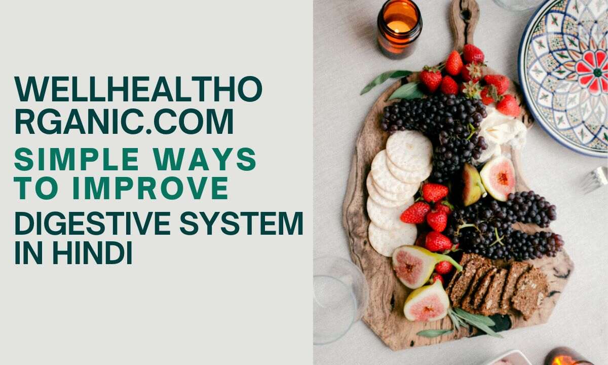 wellhealthorganic.com simple ways to improve digestive system in hindi