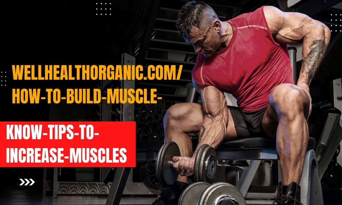 wellhealthorganic.com/how-to-build-muscle-know-tips-to-increase-muscles