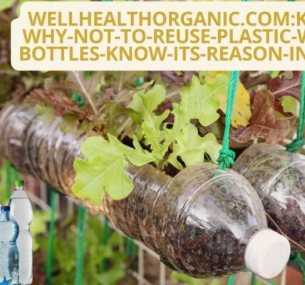 wellhealthorganic.com:know-why-not-to-reuse-plastic-water-bottles-know-its-reason-in-hindi